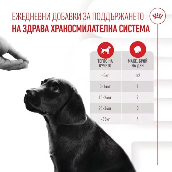 Royal Canin Puppy Suppllement Immunity and Digestion - Хранителна добавка за малки кученца за имунитет и добро храносмилане